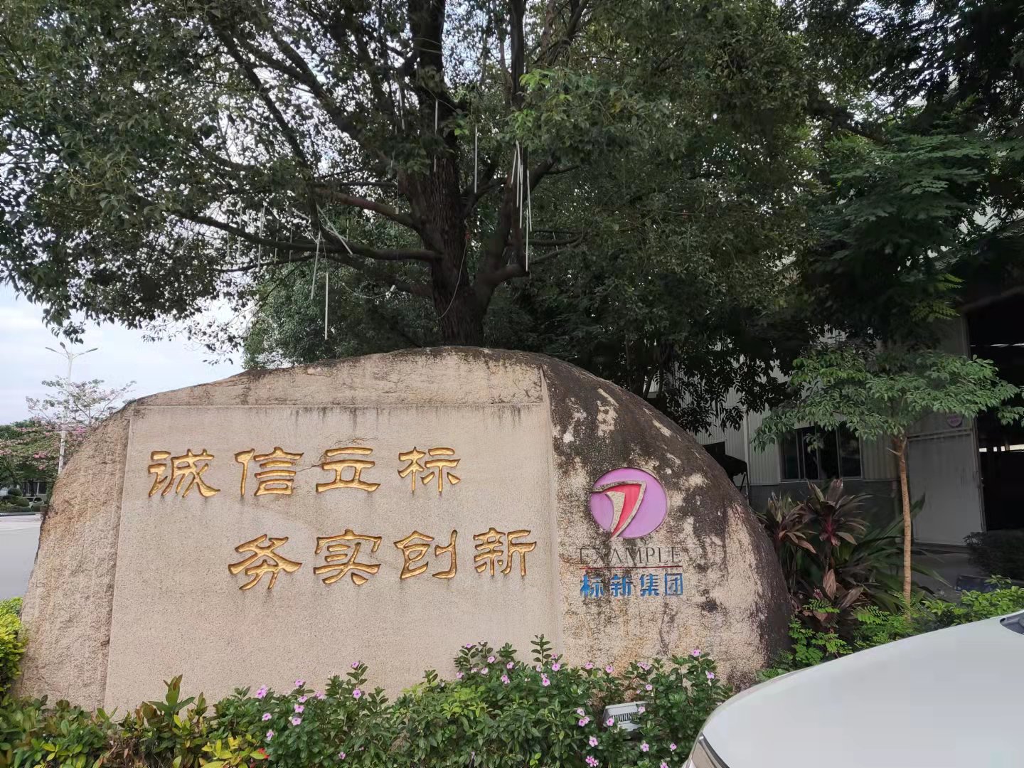 标新集团第一届全民健身活动启动啦！